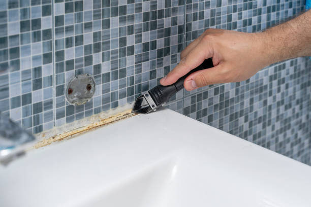 Best Residential Mold Removal  in Shannon, MS